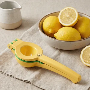 Bar-Tool Lime & Lemon Clip
