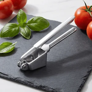 Compact Garlic Squeezer & Masher